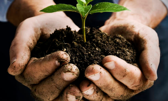 Il Giardiniere di Dio Il Giardiniere di Dio